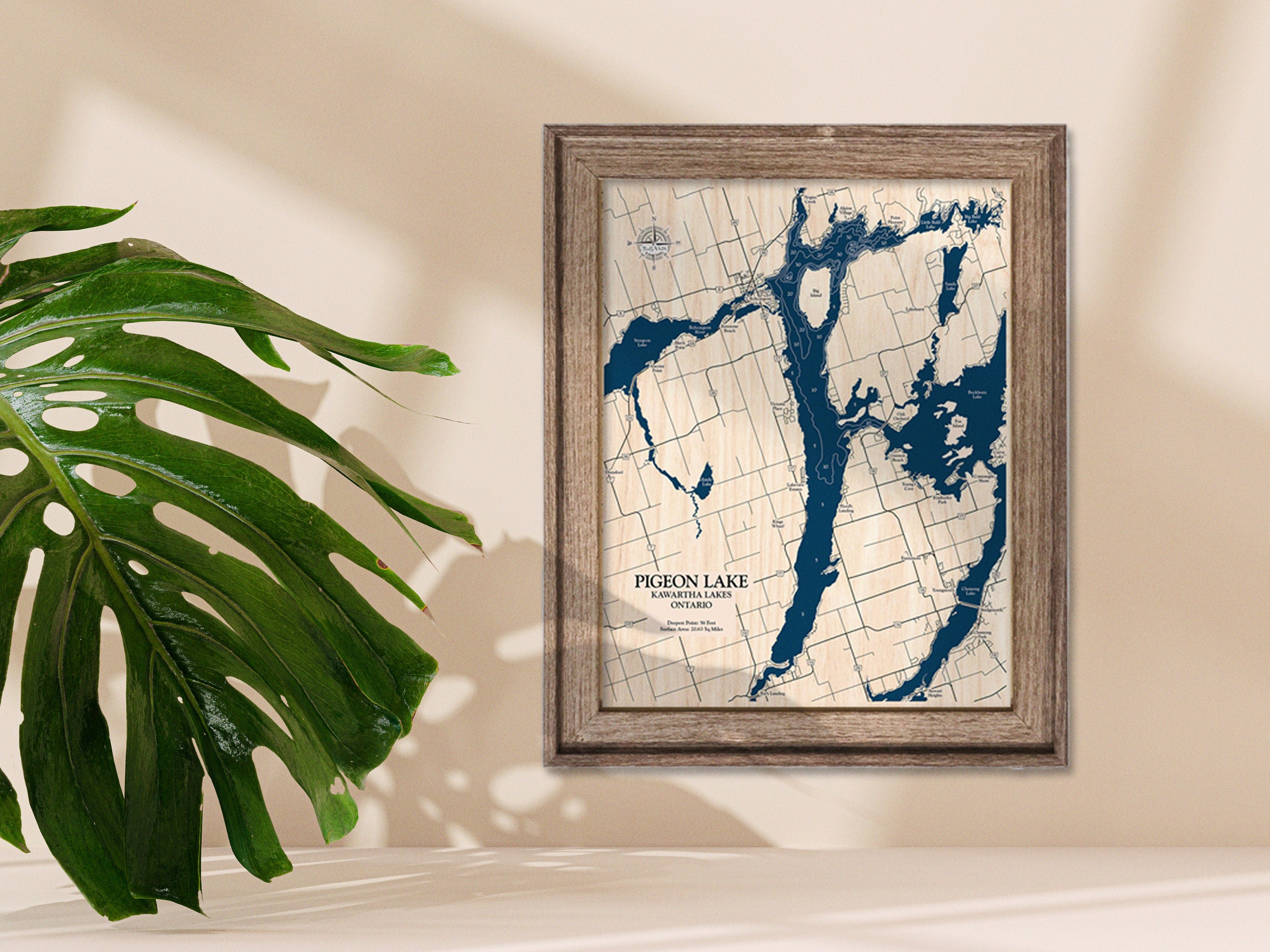 Pigeon Lake Map