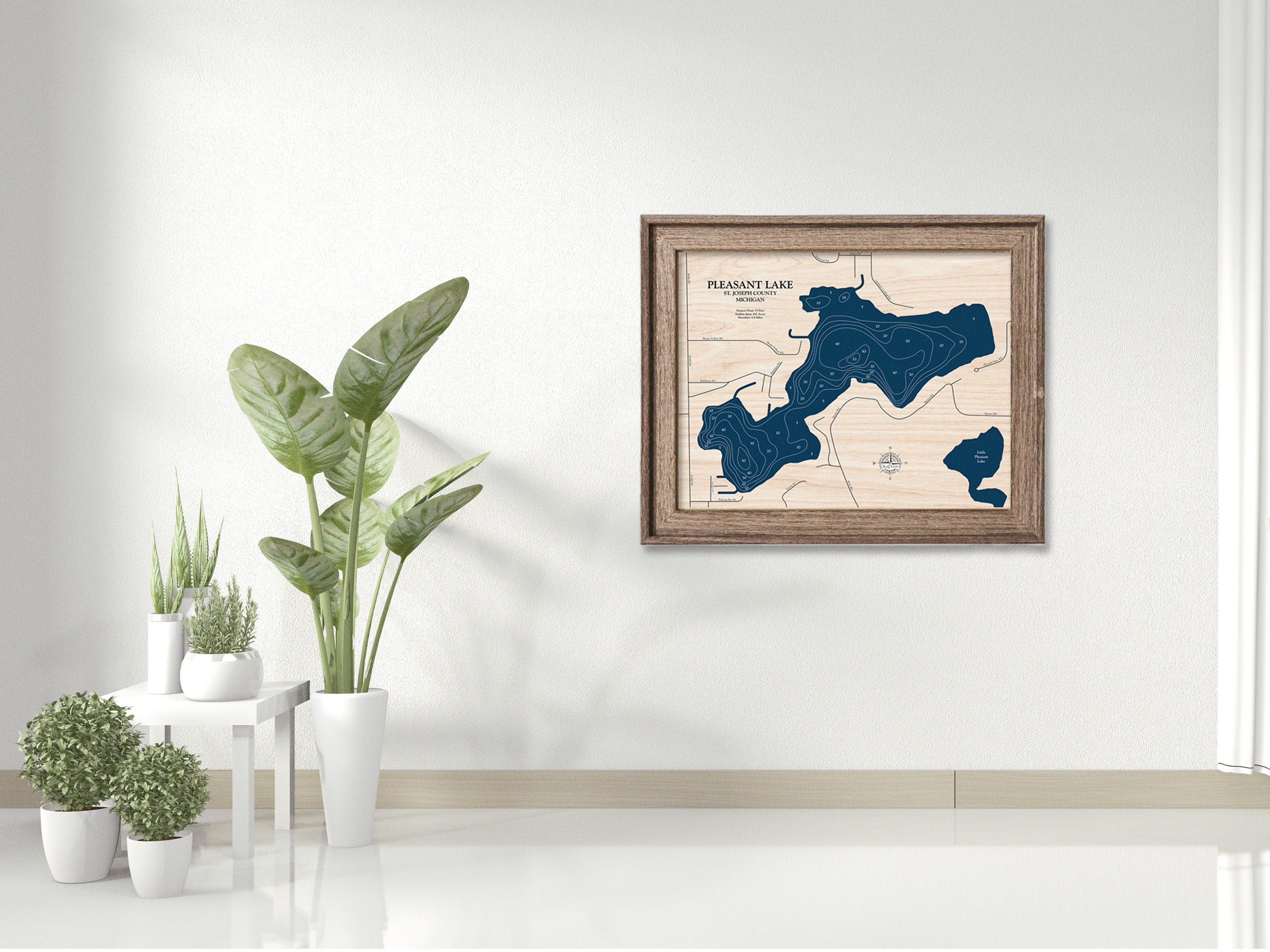 Pleasant Lake Map