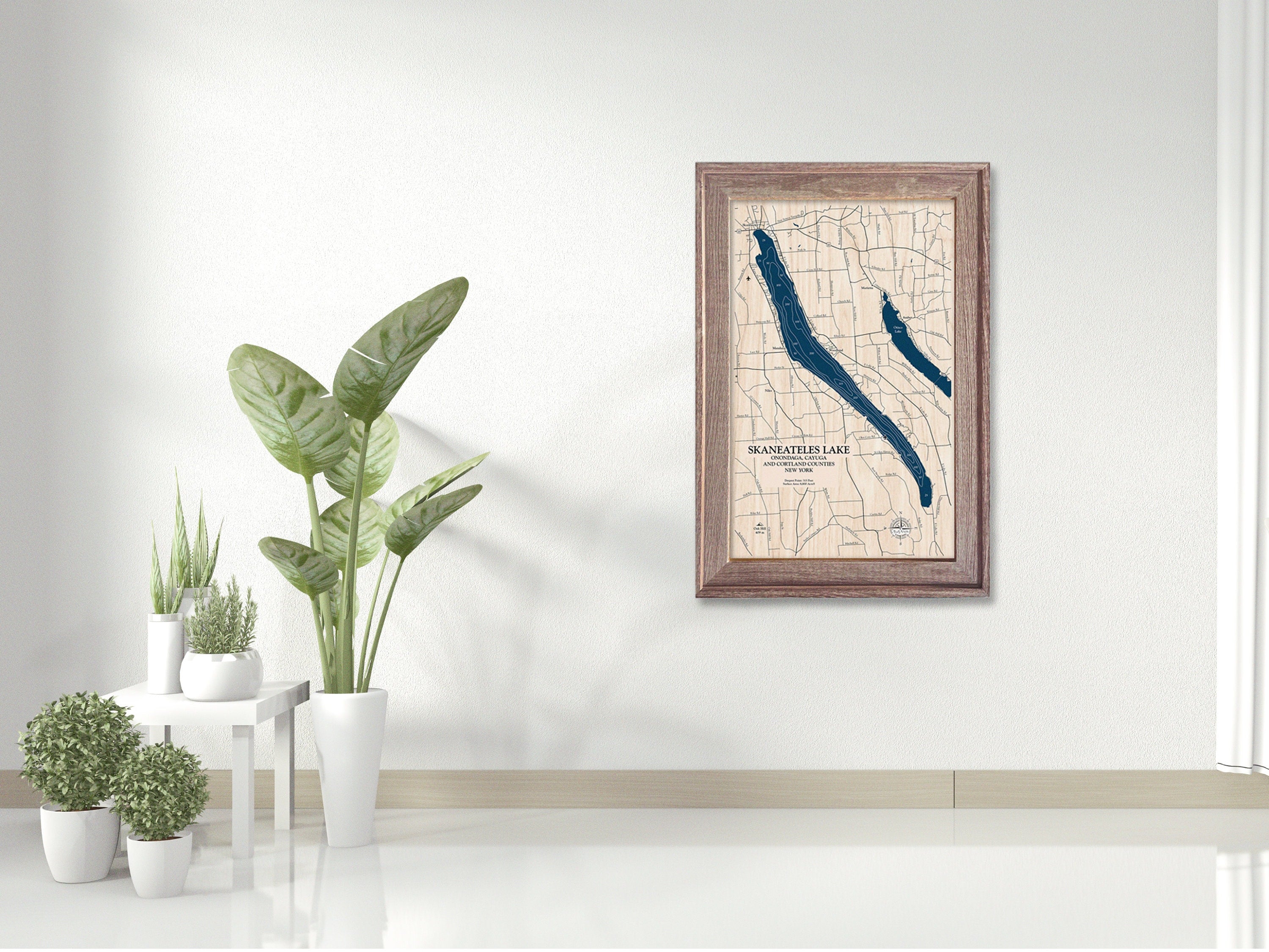 Skaneateles Lake Map