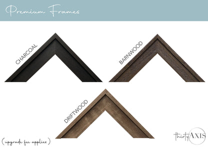 San Francisco Wood Map
