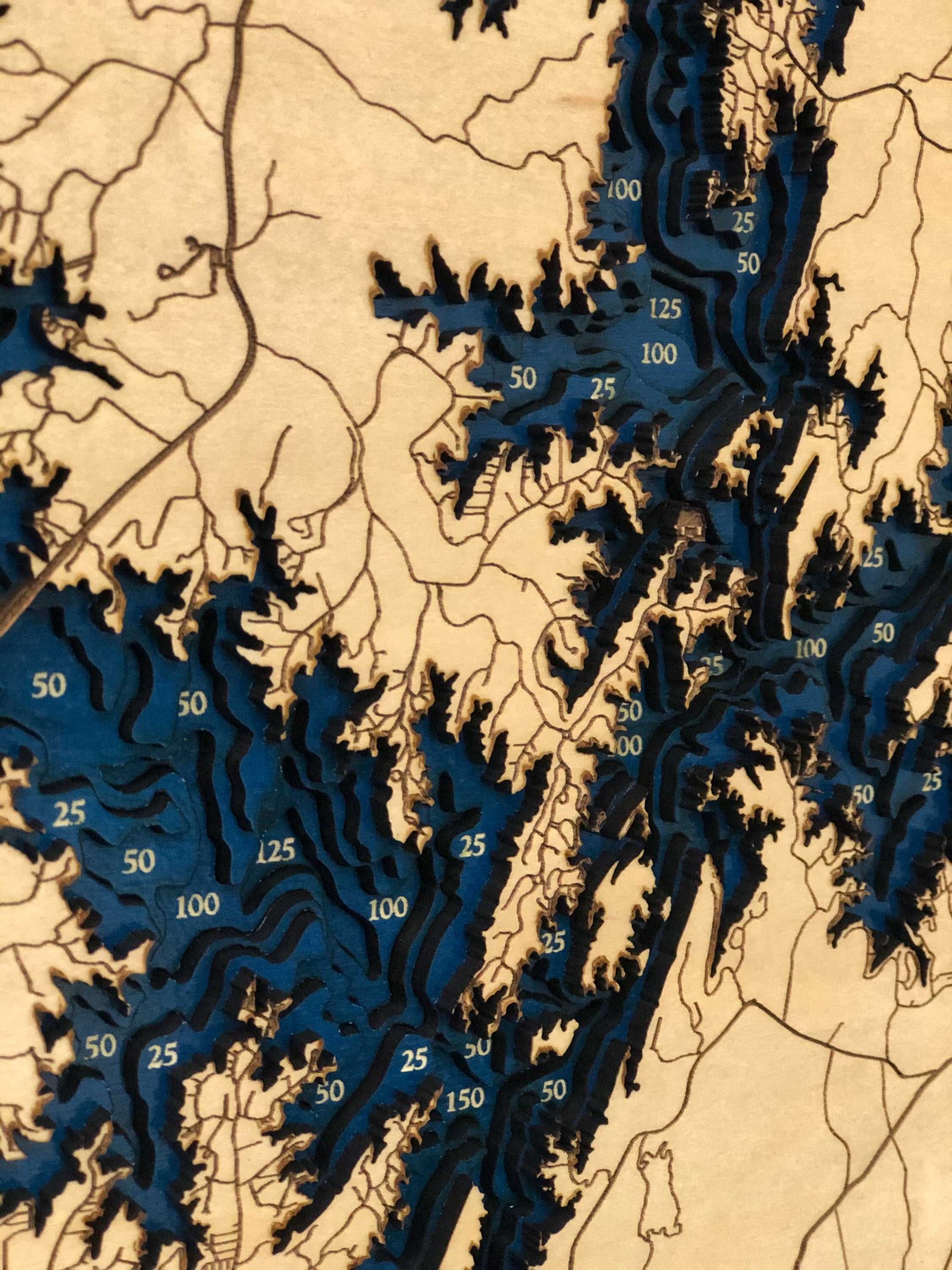Martin Lake Map