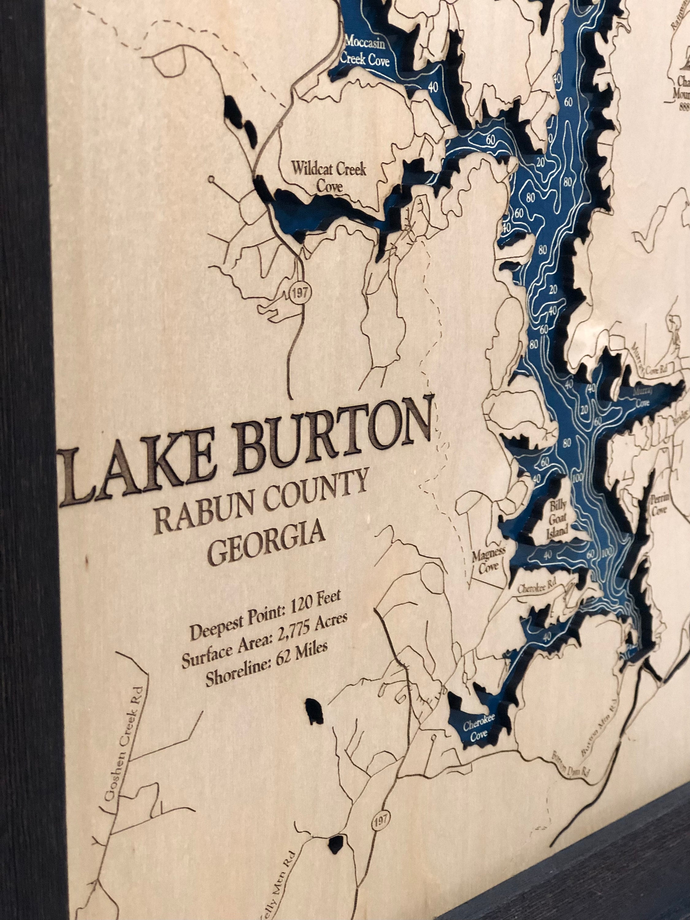 Lake Burton Lake