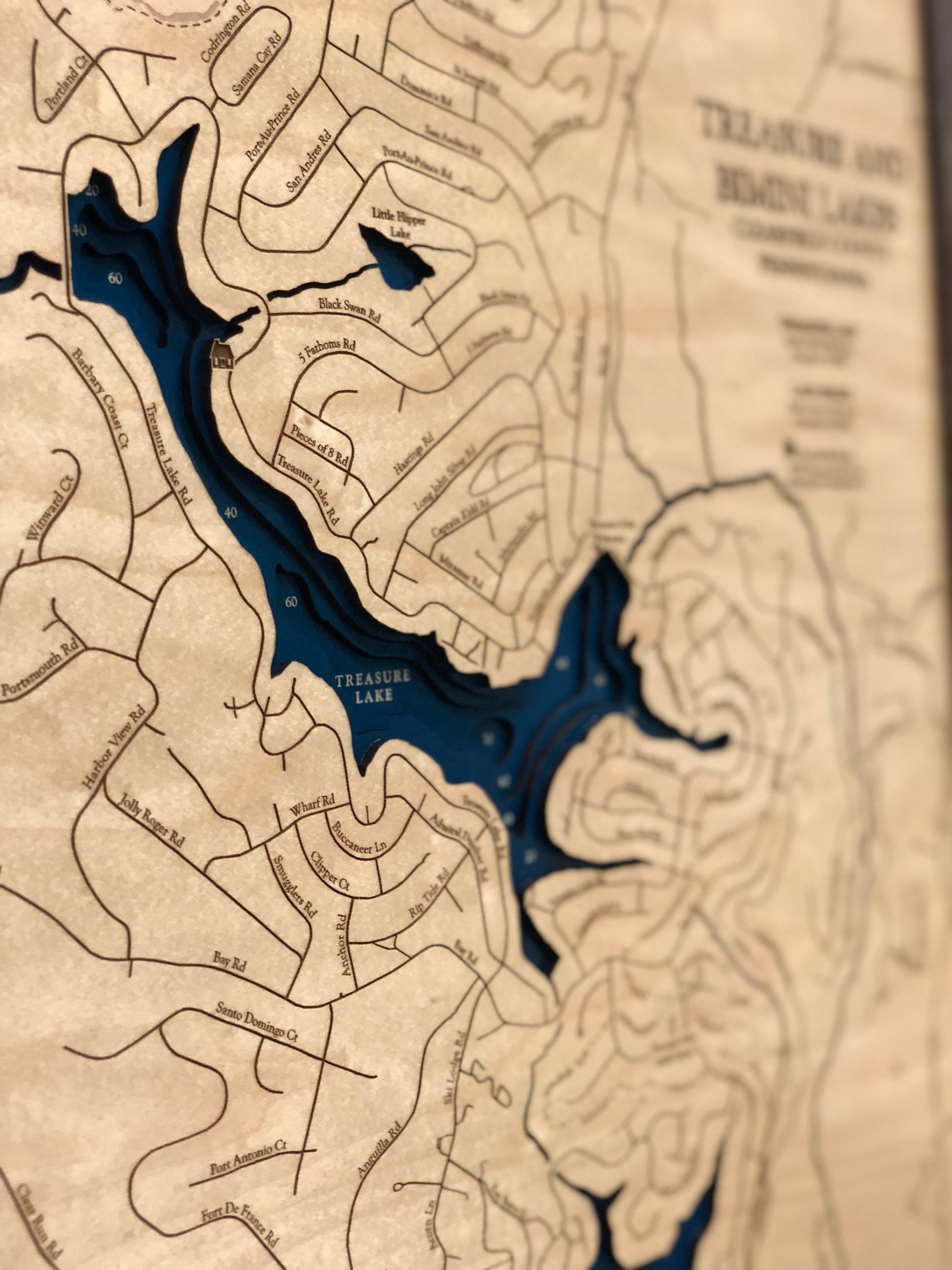 Treasure Lake Map