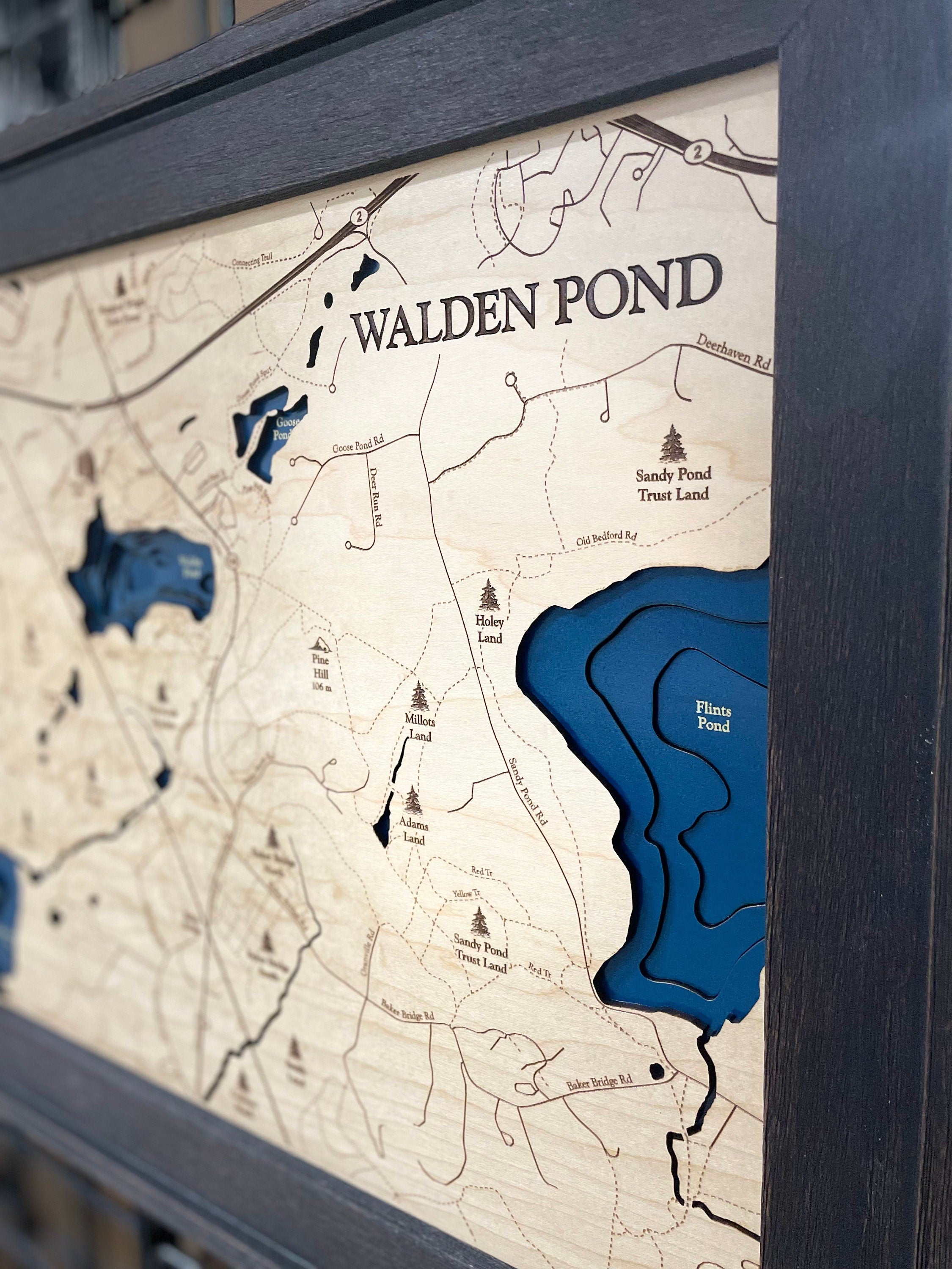 Walden Pond Map