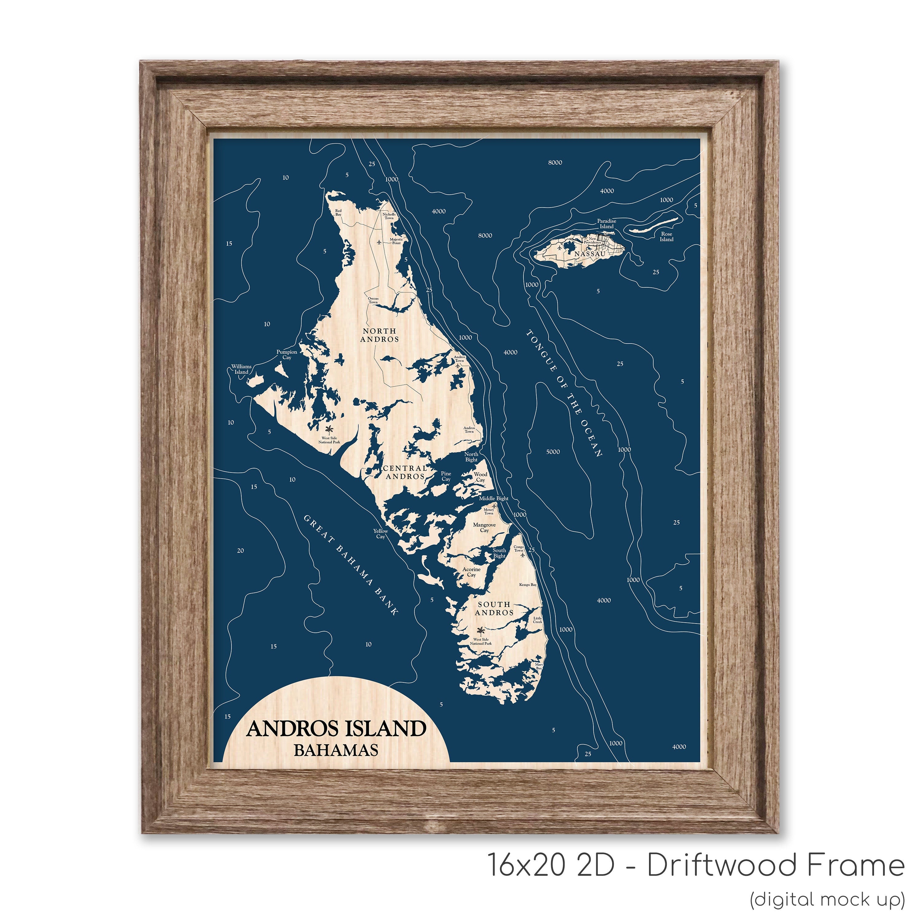 Andros Island Map