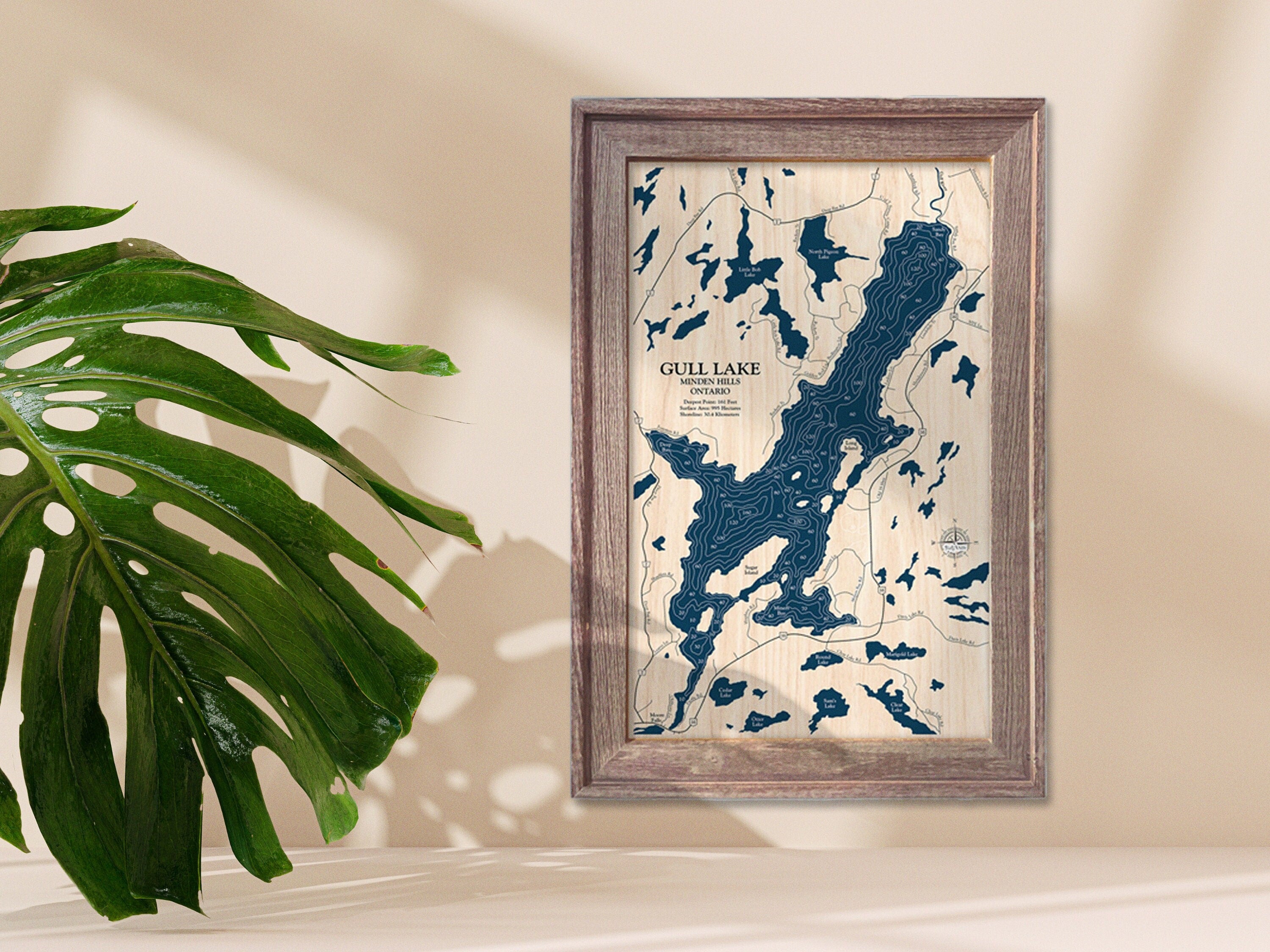 Gull Lake Map